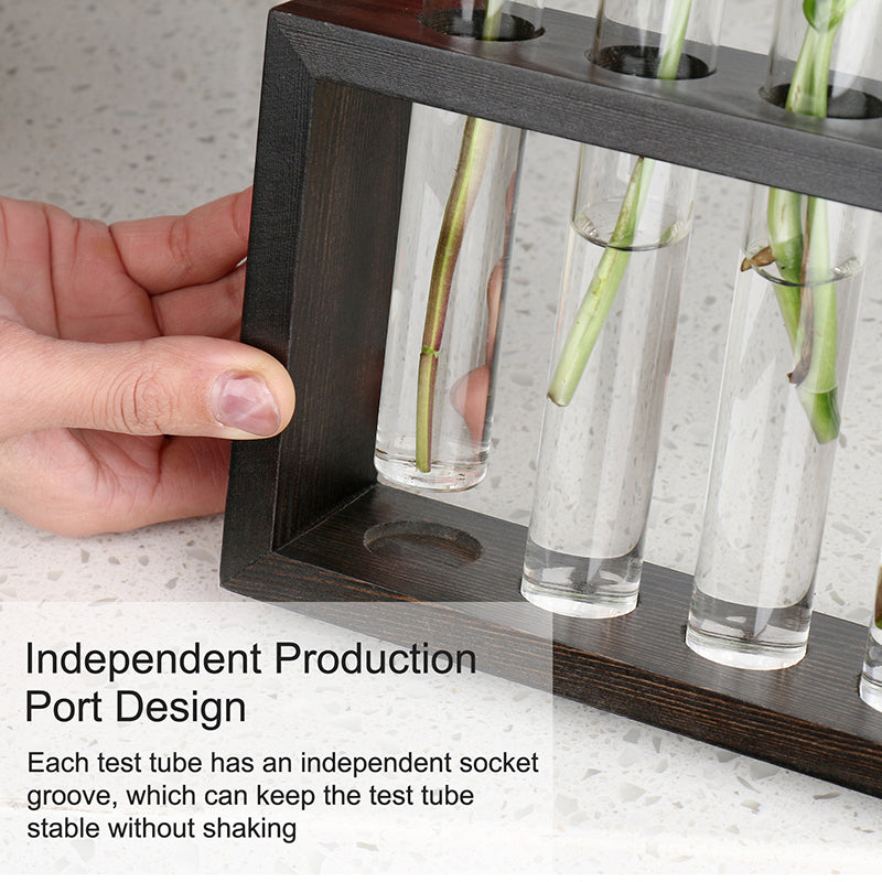 Tabletop Glass Planter Ornament Wooden Stand Test Tube Vase