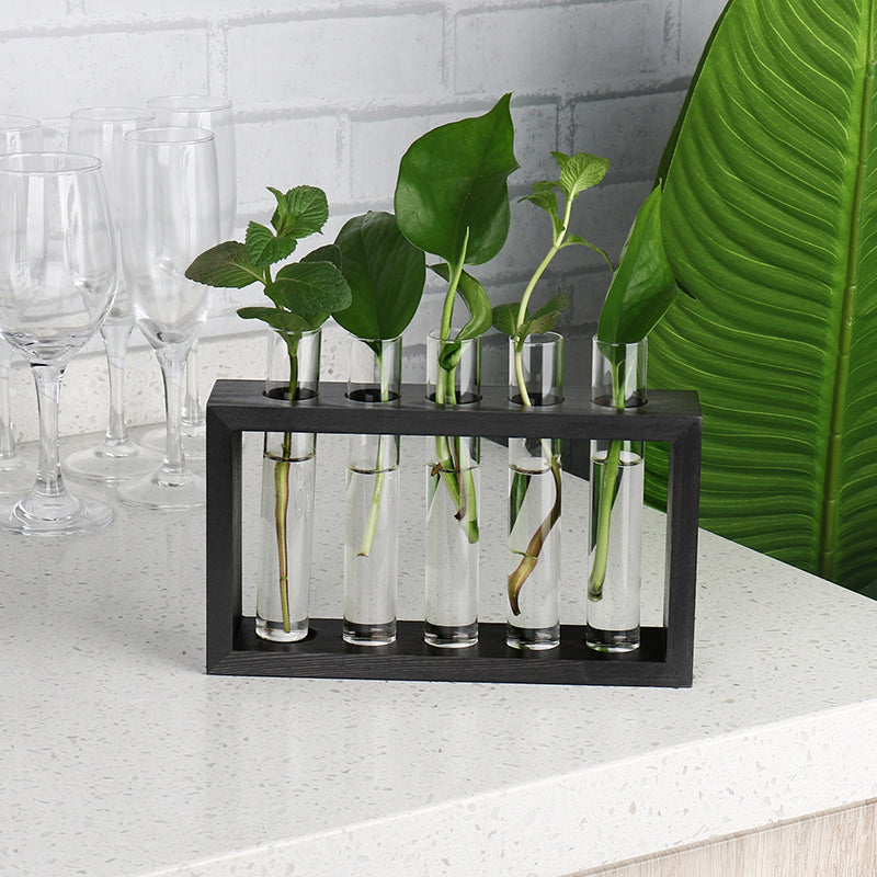 Tabletop Glass Planter Ornament Wooden Stand Test Tube Vase