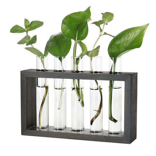 Tabletop Glass Planter Ornament Wooden Stand Test Tube Vase